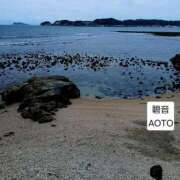 ヒメ日記 2026/04/10 11:44 投稿 碧音 熟女の風俗最終章 横浜本店