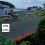 ヒメ日記 2026/04/10 15:04 投稿 碧音 熟女の風俗最終章 横浜本店