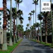 ヒメ日記 2026/04/11 07:34 投稿 碧音 熟女の風俗最終章 横浜本店