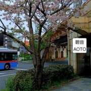 ヒメ日記 2026/04/11 08:48 投稿 碧音 熟女の風俗最終章 横浜本店