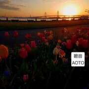 ヒメ日記 2026/04/12 02:34 投稿 碧音 熟女の風俗最終章 横浜本店