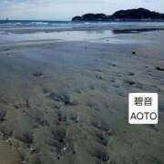 ヒメ日記 2026/04/12 11:14 投稿 碧音 熟女の風俗最終章 横浜本店