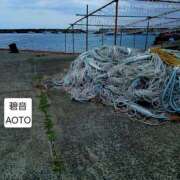 ヒメ日記 2026/04/12 12:44 投稿 碧音 熟女の風俗最終章 横浜本店