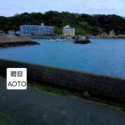 ヒメ日記 2026/04/12 15:24 投稿 碧音 熟女の風俗最終章 横浜本店