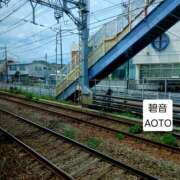 ヒメ日記 2026/04/13 01:44 投稿 碧音 熟女の風俗最終章 横浜本店