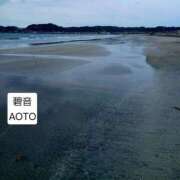 ヒメ日記 2026/04/13 19:54 投稿 碧音 熟女の風俗最終章 横浜本店