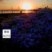 ヒメ日記 2026/04/13 20:34 投稿 碧音 熟女の風俗最終章 横浜本店