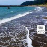 ヒメ日記 2026/04/14 15:54 投稿 碧音 熟女の風俗最終章 横浜本店