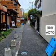 ヒメ日記 2026/04/16 14:54 投稿 碧音 熟女の風俗最終章 横浜本店