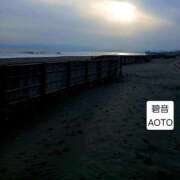 ヒメ日記 2026/04/17 23:26 投稿 碧音 熟女の風俗最終章 横浜本店