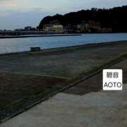 ヒメ日記 2026/04/21 04:54 投稿 碧音 熟女の風俗最終章 横浜本店