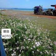 ヒメ日記 2026/04/21 08:54 投稿 碧音 熟女の風俗最終章 横浜本店