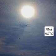 ヒメ日記 2026/04/21 16:23 投稿 碧音 熟女の風俗最終章 横浜本店