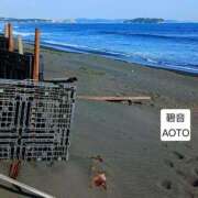 ヒメ日記 2026/04/28 06:04 投稿 碧音 熟女の風俗最終章 横浜本店