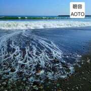 ヒメ日記 2026/04/28 07:22 投稿 碧音 熟女の風俗最終章 横浜本店