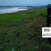 ヒメ日記 2026/05/07 07:14 投稿 碧音 熟女の風俗最終章 横浜本店