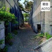 ヒメ日記 2026/05/09 11:34 投稿 碧音 熟女の風俗最終章 横浜本店