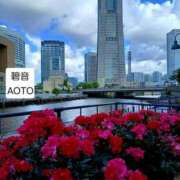 ヒメ日記 2026/05/14 10:14 投稿 碧音 熟女の風俗最終章 横浜本店