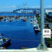 ヒメ日記 2026/05/14 15:14 投稿 碧音 熟女の風俗最終章 横浜本店