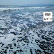 ヒメ日記 2026/05/17 04:34 投稿 碧音 熟女の風俗最終章 横浜本店