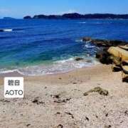 ヒメ日記 2026/05/24 14:34 投稿 碧音 熟女の風俗最終章 横浜本店