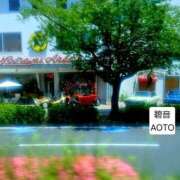ヒメ日記 2026/05/26 18:19 投稿 碧音 熟女の風俗最終章 横浜本店