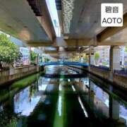 ヒメ日記 2026/05/26 21:34 投稿 碧音 熟女の風俗最終章 横浜本店