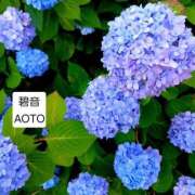 ヒメ日記 2026/05/26 21:54 投稿 碧音 熟女の風俗最終章 横浜本店