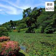 ヒメ日記 2026/05/27 04:24 投稿 碧音 熟女の風俗最終章 横浜本店