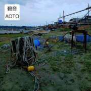 ヒメ日記 2026/06/02 04:54 投稿 碧音 熟女の風俗最終章 横浜本店