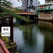 ヒメ日記 2026/06/09 14:04 投稿 碧音 熟女の風俗最終章 横浜本店