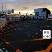 ヒメ日記 2026/06/11 08:35 投稿 碧音 熟女の風俗最終章 横浜本店