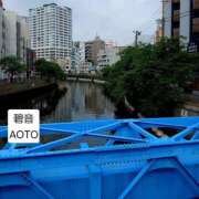 ヒメ日記 2026/06/14 13:24 投稿 碧音 熟女の風俗最終章 横浜本店