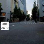 ヒメ日記 2026/06/20 06:44 投稿 碧音 熟女の風俗最終章 横浜本店