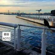 ヒメ日記 2026/06/22 07:34 投稿 碧音 熟女の風俗最終章 横浜本店