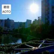 ヒメ日記 2026/07/14 06:54 投稿 碧音 熟女の風俗最終章 横浜本店