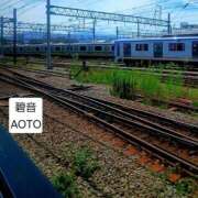 ヒメ日記 2026/10/08 15:11 投稿 碧音 熟女の風俗最終章 横浜本店