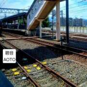 ヒメ日記 2026/10/11 10:29 投稿 碧音 熟女の風俗最終章 横浜本店