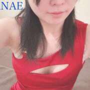 ヒメ日記 2025/11/30 11:57 投稿 かなえ 和楽(わらく)