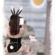 ヒメ日記 2025/11/20 15:51 投稿 ゆめの【FG系列】 フィーリングin横浜