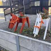 ヒメ日記 2025/11/30 12:03 投稿 三森 錦糸町おかあさん