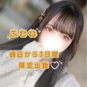 ヒメ日記 2025/11/14 19:31 投稿 小桜ふわね ラブアイドル