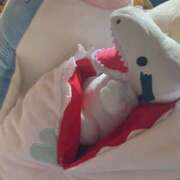 ヒメ日記 2025/11/14 12:03 投稿 こみき Body Special(ボディスペシャル)