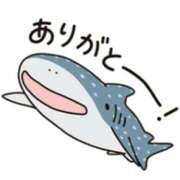 ヒメ日記 2025/11/14 12:08 投稿 こみき Body Special(ボディスペシャル)