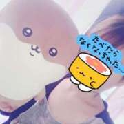 ヒメ日記 2025/11/14 07:15 投稿 はるか ルネッサンス