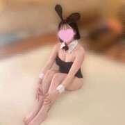 ヒメ日記 2026/03/21 13:50 投稿 レノン いたずらバニーちゃん