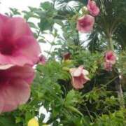 ヒメ日記 2025/11/17 10:37 投稿 谷井あんず コウテイ