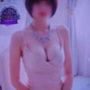 ヒメ日記 2025/11/20 15:37 投稿 谷井あんず コウテイ