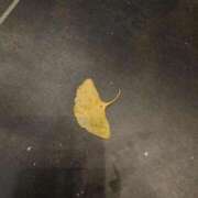 ヒメ日記 2025/11/22 08:20 投稿 あき CLASSY.名古屋・新栄店