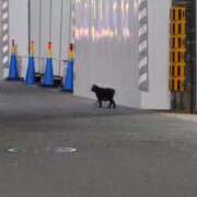 ヒメ日記 2025/11/25 14:21 投稿 あき CLASSY.名古屋・新栄店